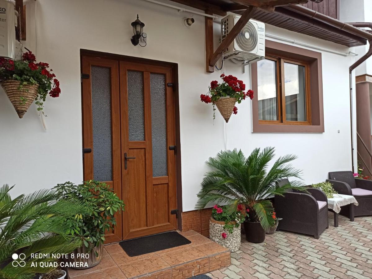 Casa Elena Pensiune Sibiu